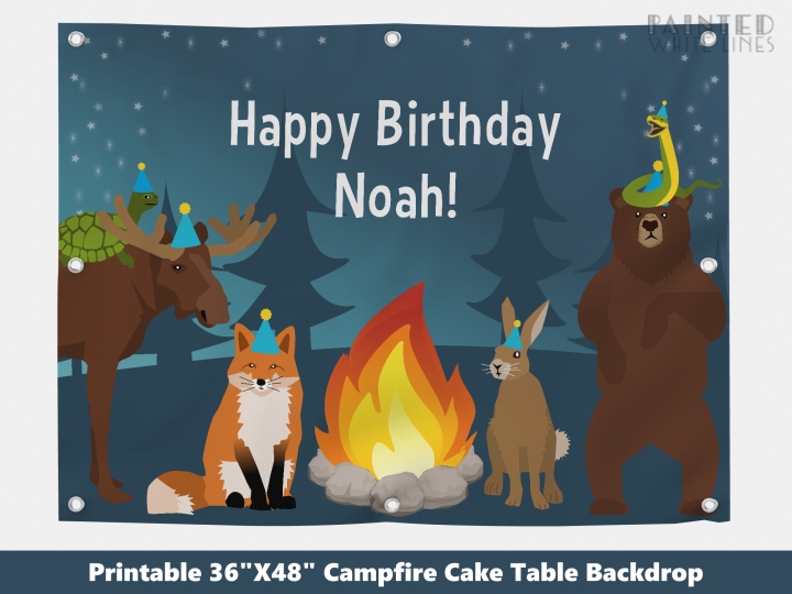Birthday Campfire Boys Banner Backdrop