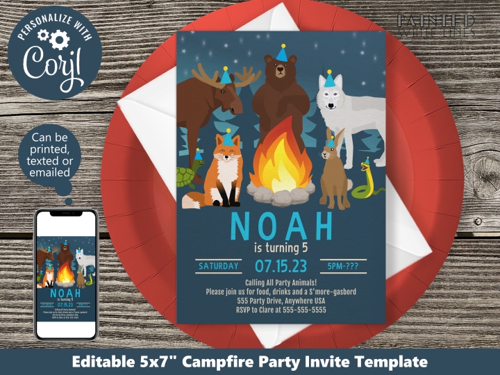 Birthday Campfire Invitation Boy