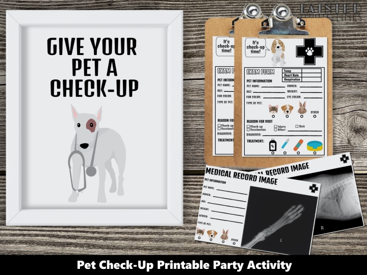 Pet Check-Up Party Activity