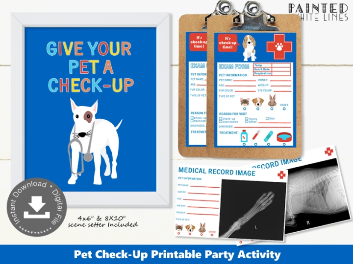 Pet Check-Up Party Activity