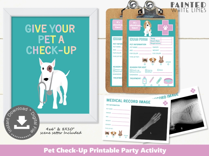 Pet Check-Up Party Activity
