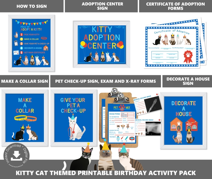 Kitty Cat Adoption Station Package
