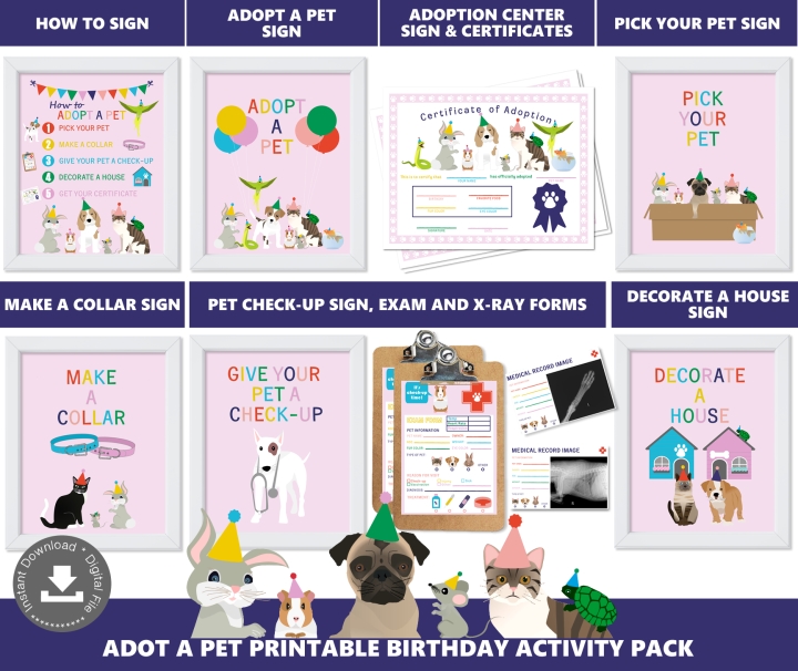Pet Adoption Station Package