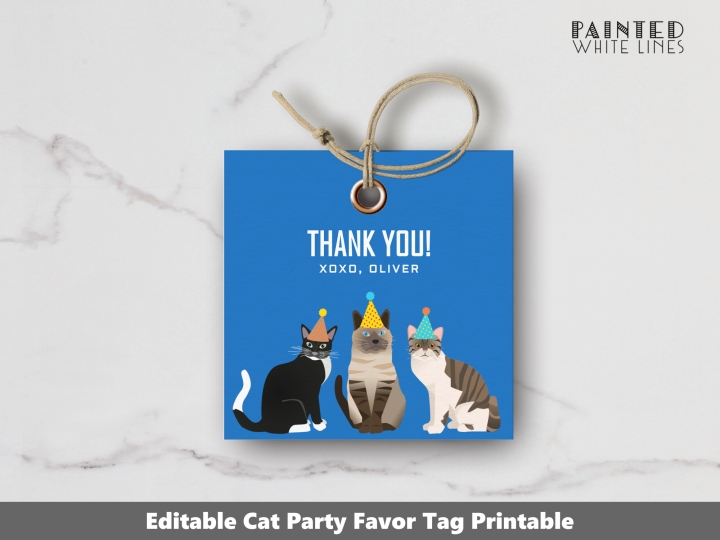 Cat Party Favor Tags Cat Party Favors 