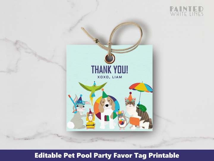 Pool Party Favor Tags Editable 