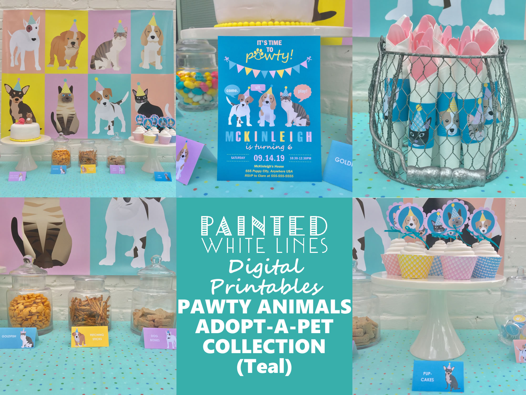 Adopt a Dog or Cat Birthday Party (Teal)