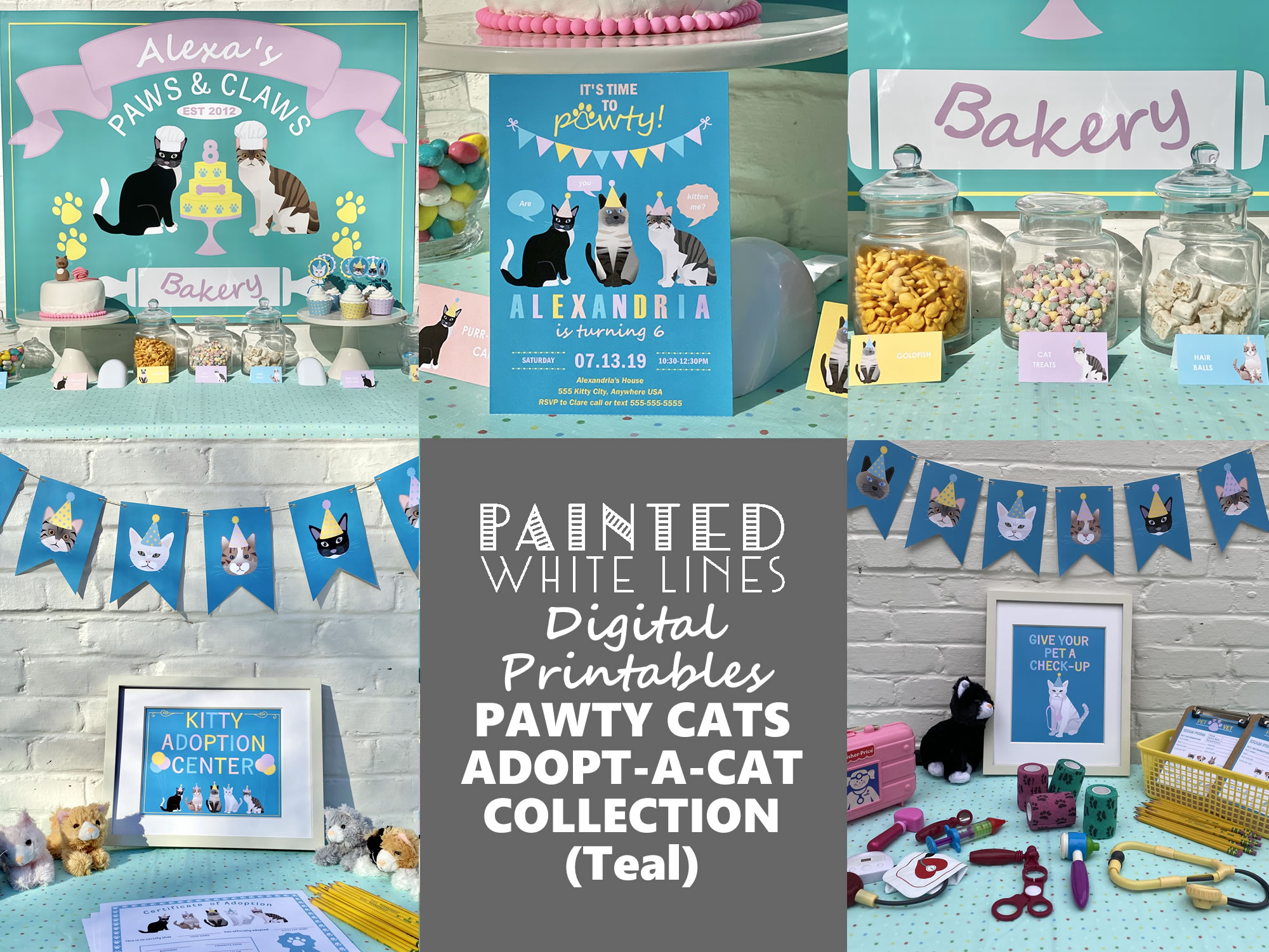 Adopt a Kitty Cat Birthday Party (Teal)
