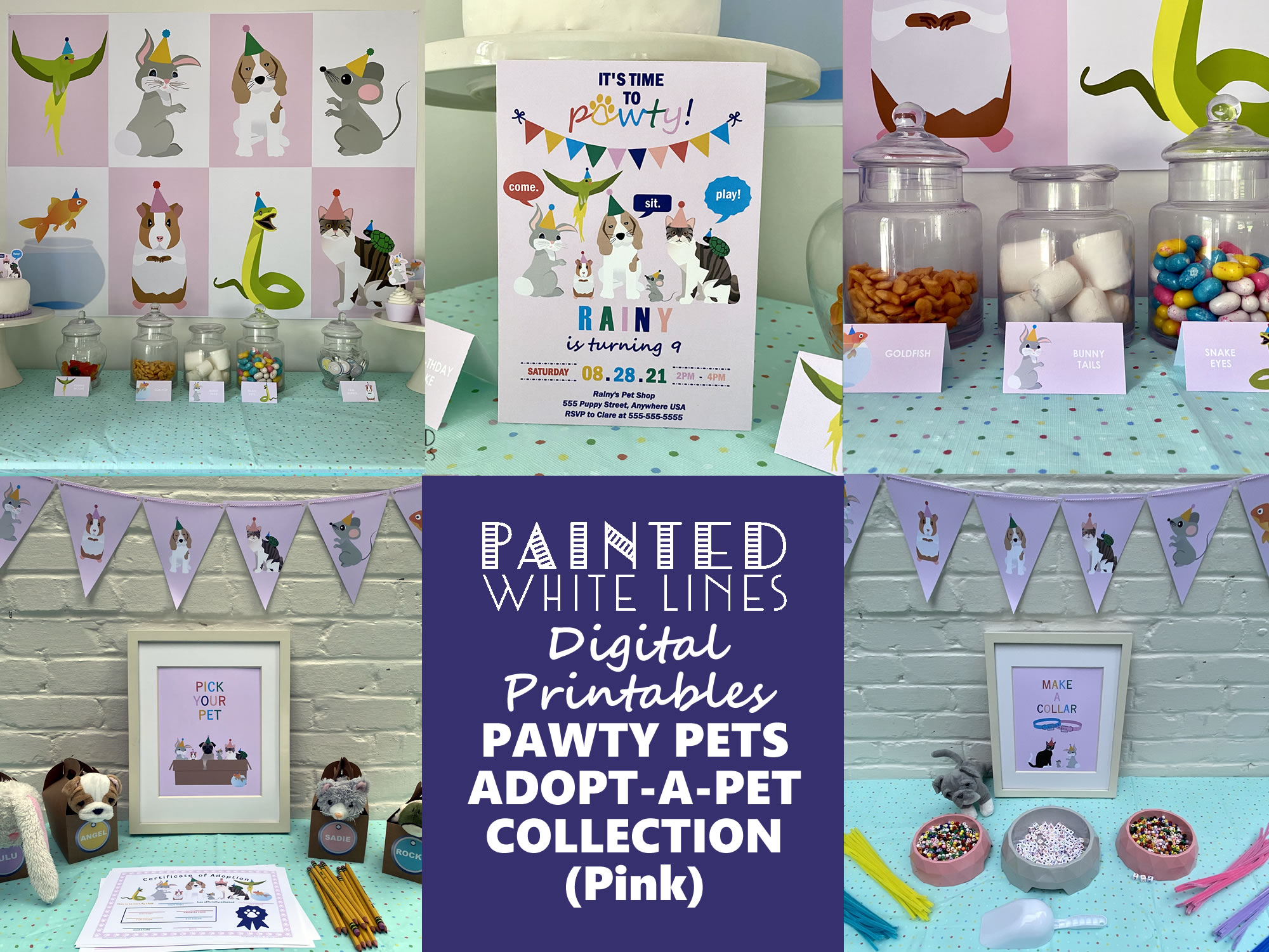 Adopt a Pet Birthday Party (Pink)